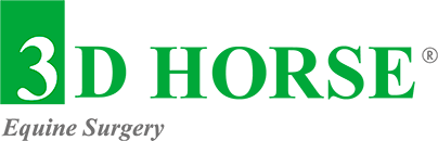 Logo 3DHorse