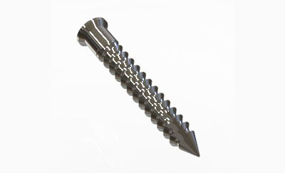 Screw SpinePlate