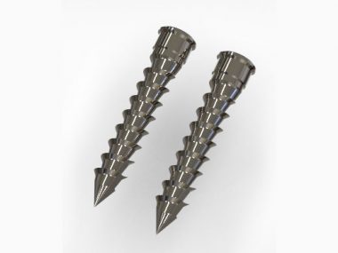 Screw Spine Cage L30mm