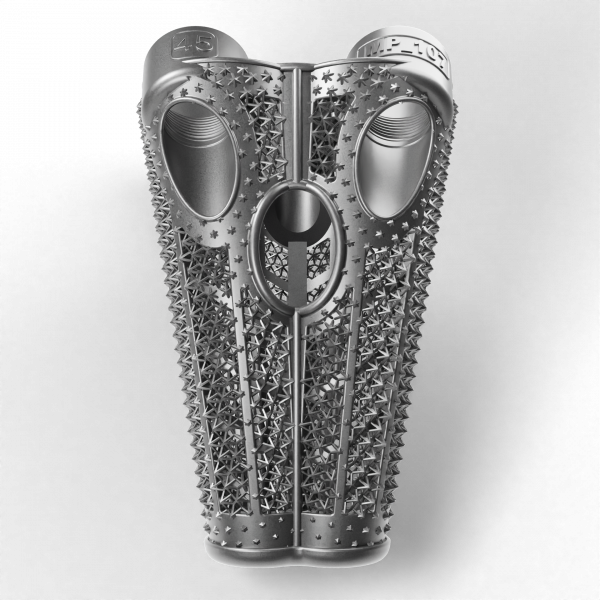 Spine Spacer LONG45 IMP_107