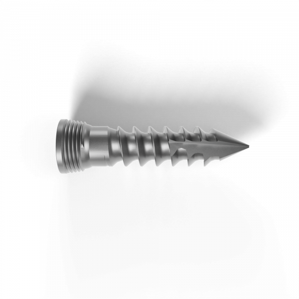 Screw_SpinePlate_Lock_L30 IMP_28