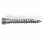 Screw_SpinePlate_Lock_L45 IMP_31