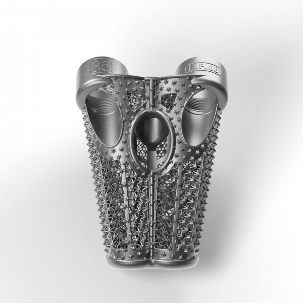 Spine Spacer SHORT35 IMP_88