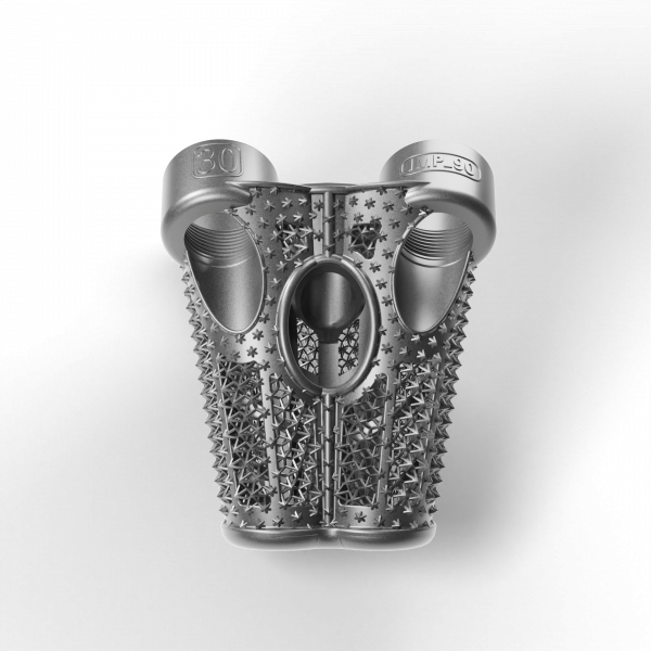 Spine Spacer LONG30 IMP_90