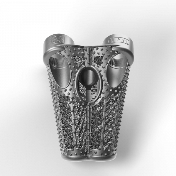 Spine Spacer LONG35 IMP_91