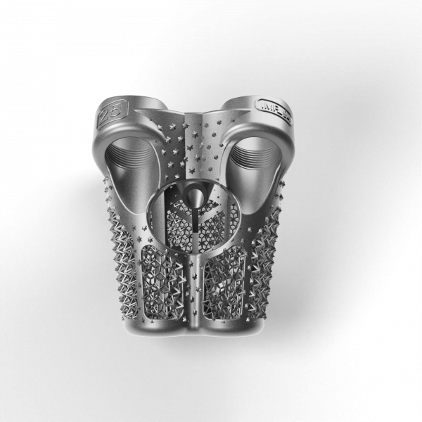 Spine Spacer LONG 25 IMP_94