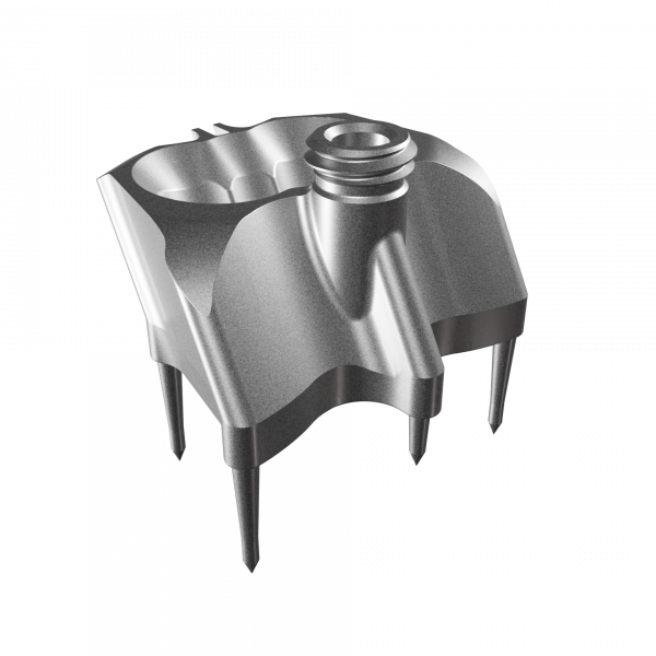 Foal Ancilar Base Rev01 - INS_14