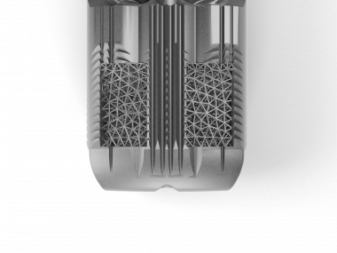 Foal Spine Cage L25 IMP_18