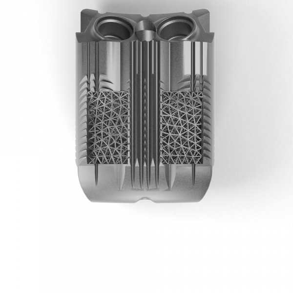 Foal Spine Cage L25 IMP_18