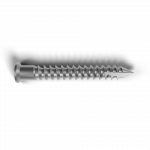Foal Screw_SpinePlate L36 - imp24imp25