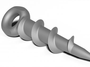 Ring screw