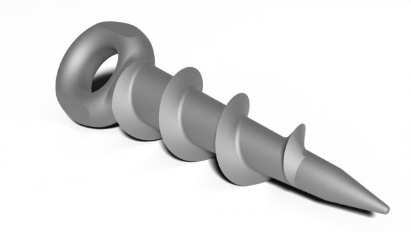 Ring screw