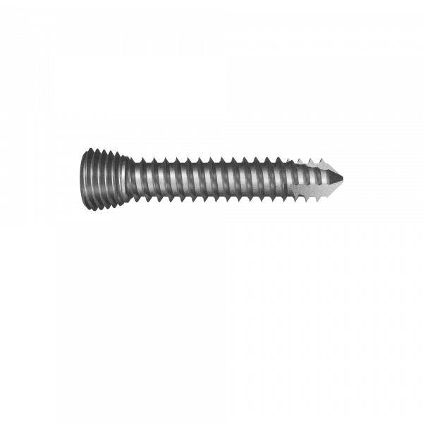 LockingScrew Diameter4 L19 - IMP_100