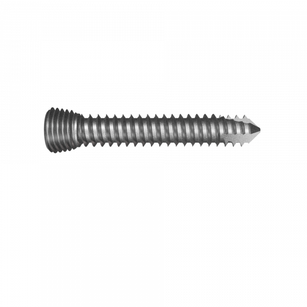 LockingScrew Diameter4 L22 - IMP_101