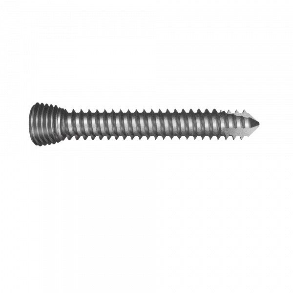 LockingScrew D4 L25 - IMP_102