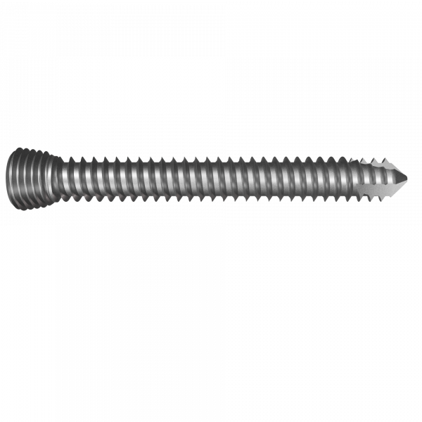 LockingScrew D4 L31 - IMP_104