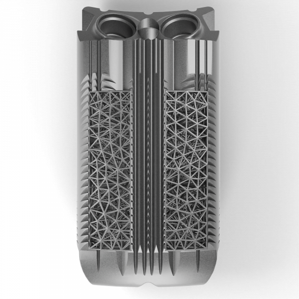 Foal Spine Cage L35 IMP_109