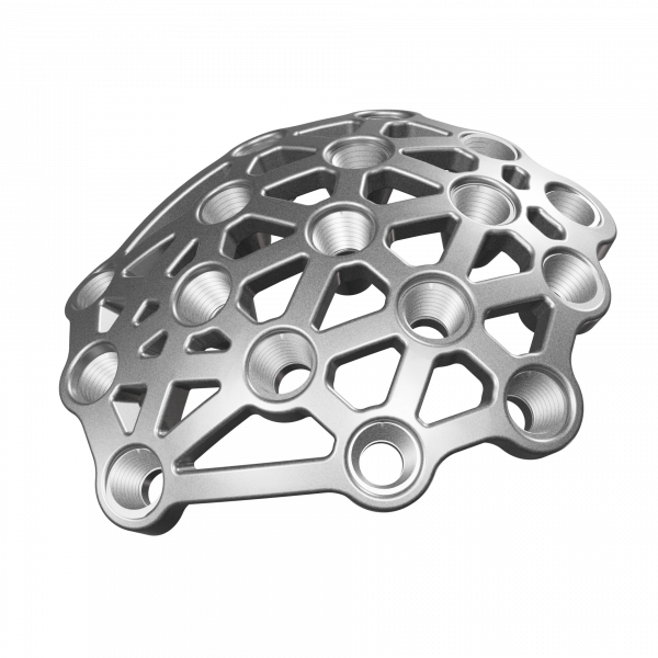 Plate X Large - IMP_99