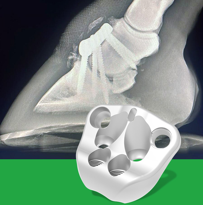 Dip joint hoof sparing for horses