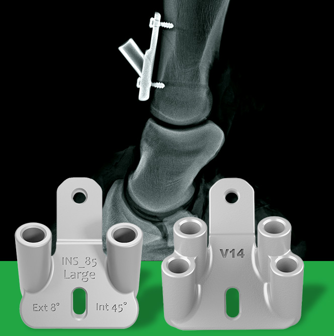 Pip joint arthrodesis for horses